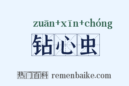 钻心虫是什么意思的图片